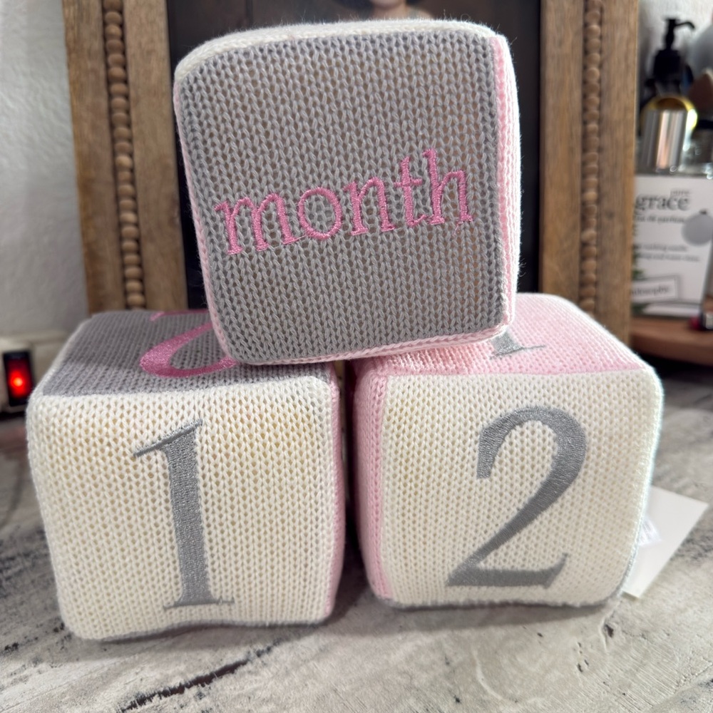 Edgehill collection Gray and Pink Baby Milestone Blocks for photo